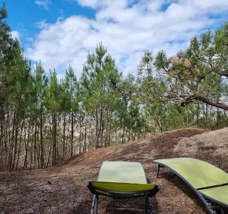Au Pied De La Dune *