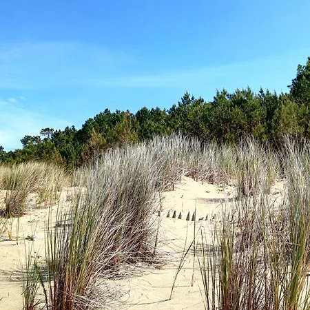 Villa Au Pied De La Dune *